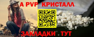 ГАЛЛЮЦИНОГЕННЫЕ ГРИБЫ Кингисепп