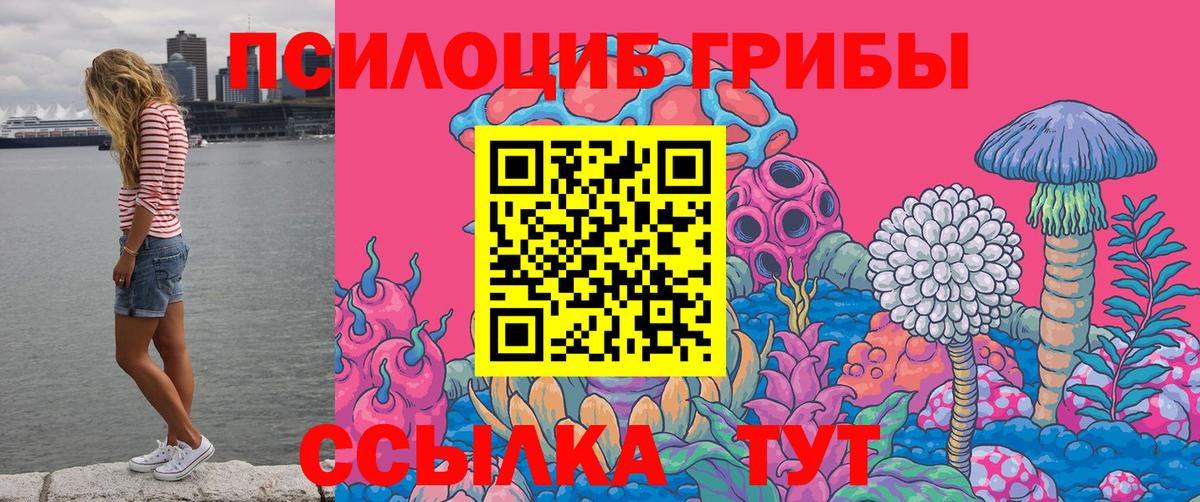 Галлюциногенные грибы Cubensis  Вход с VPN  Корсаков 